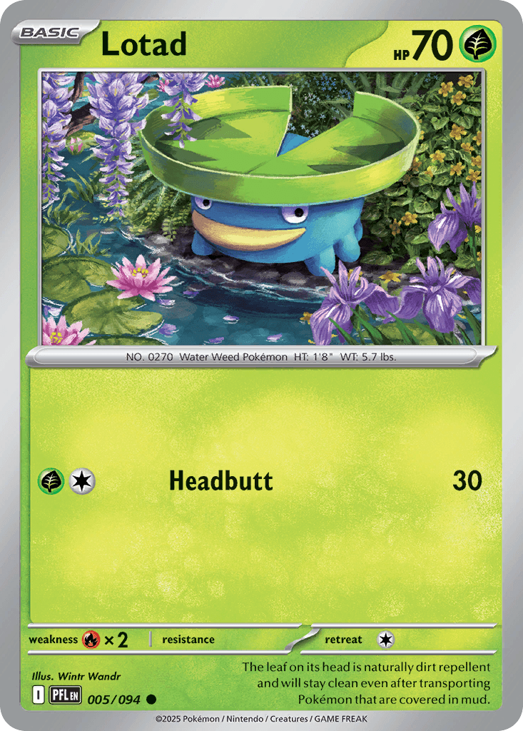 Lotad card
